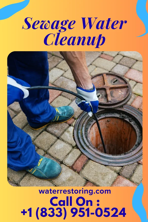 Sewage Water Cleanup in Jaconita, NM